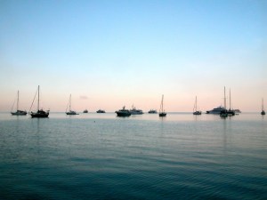Morning on Watson Bay