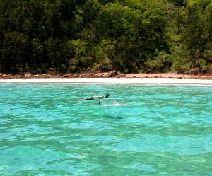 We fed them all our bacon...was worth it..