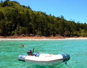 What a great way to spend the day