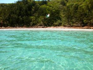 Eagles remind us to work smarter, not harder