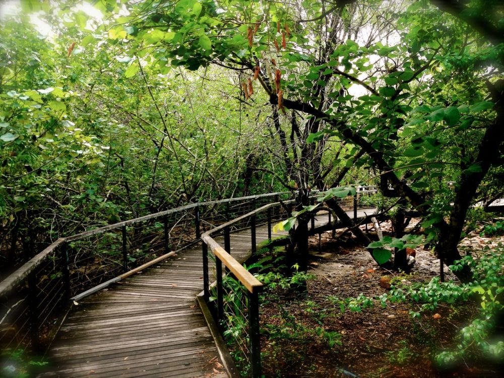 trust the twists and turns..