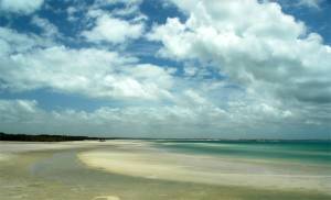 Margaret Bay Low tide