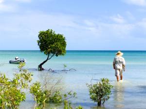 The tide came up higher then expected. Rudy I'll watch for Crocs..