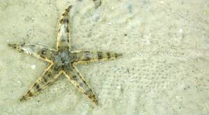 Off to see friends..