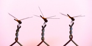 Alert to the messages.