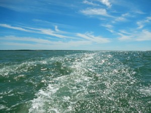 It's the Sea below...