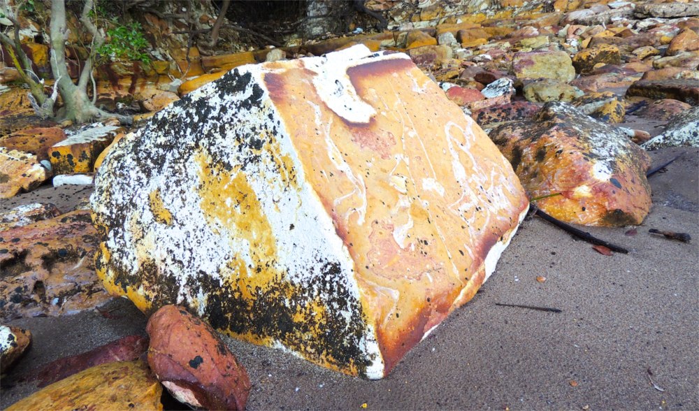 What's in Nature's treasure box...