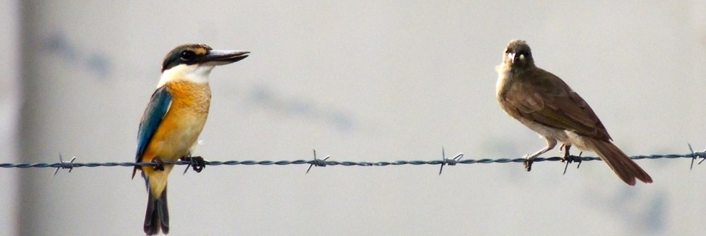 Awwww they're leaving...