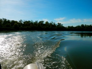 Exploring the flood tide...