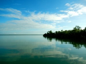 Reflection of the Soul...