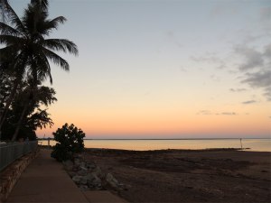 Sweet colours fill the canvas..