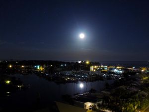 She is the matron to all sea Creatures