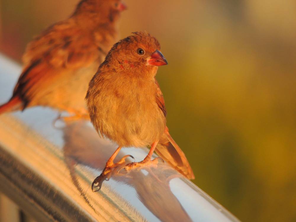 Appreciation of life....