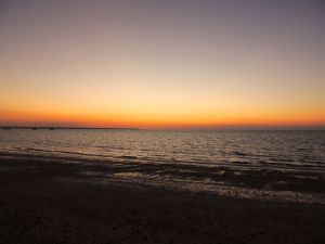 the last of the sun.