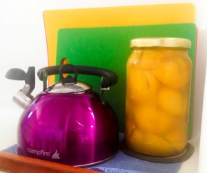 My lemons are preserving...