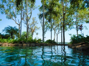 A dip in the cool waters.