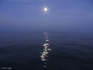 Guided by devine light...